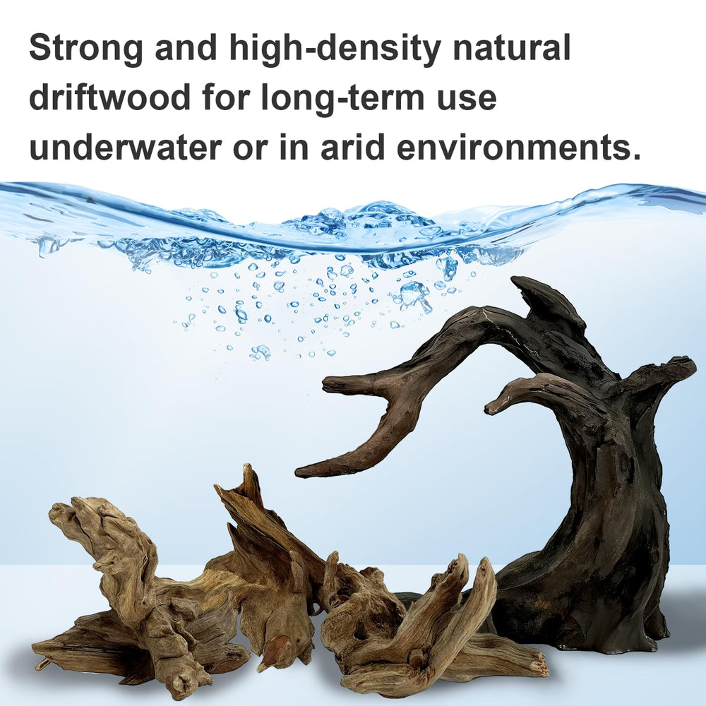 Obantrsz resin model color deepens when wet for dynamic underwater scenes.