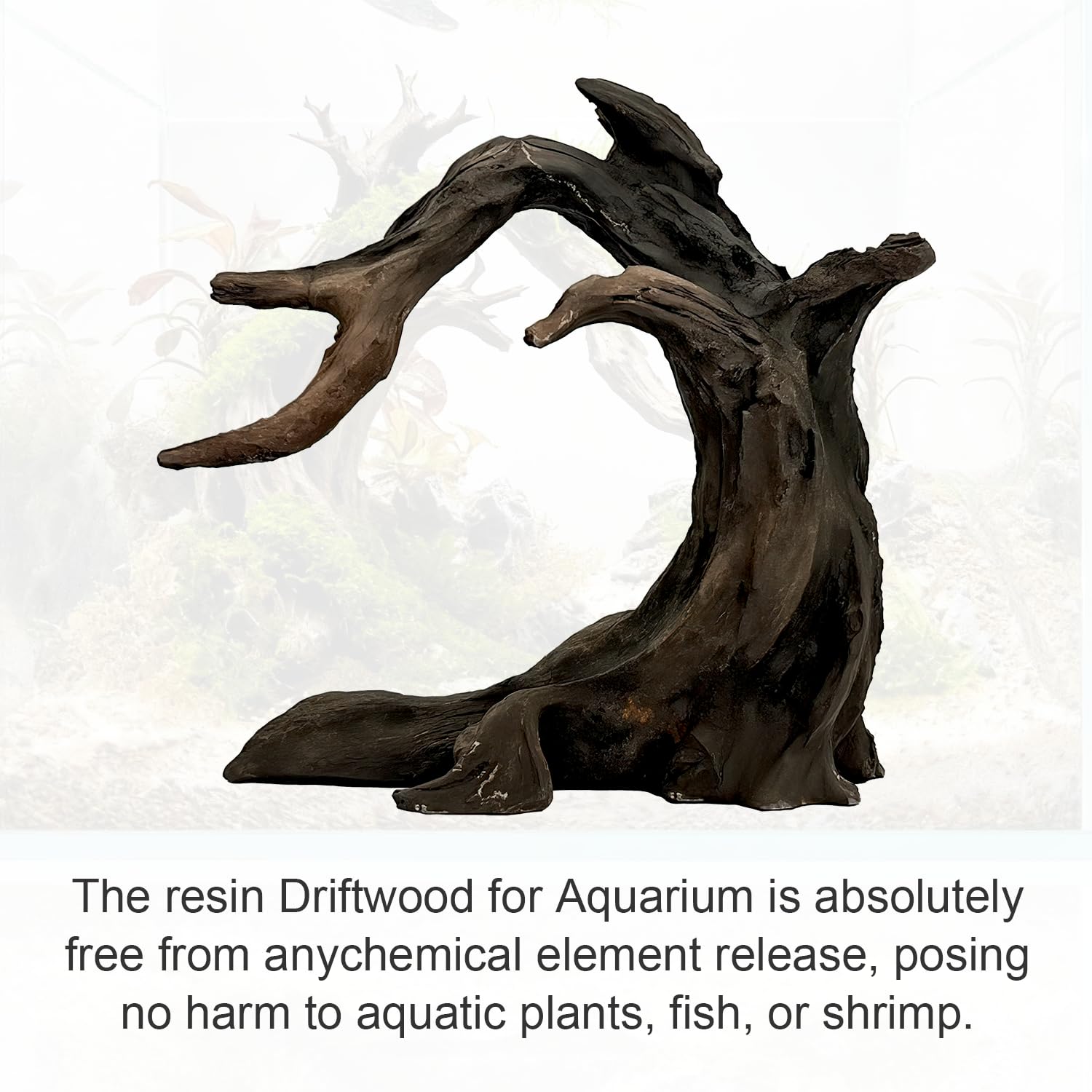 Obantrsz natural driftwood 2-4 inch piece highlights texture and organic tone.