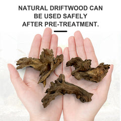 Obantrsz driftwood pieces show unique grain for realistic tank accents.