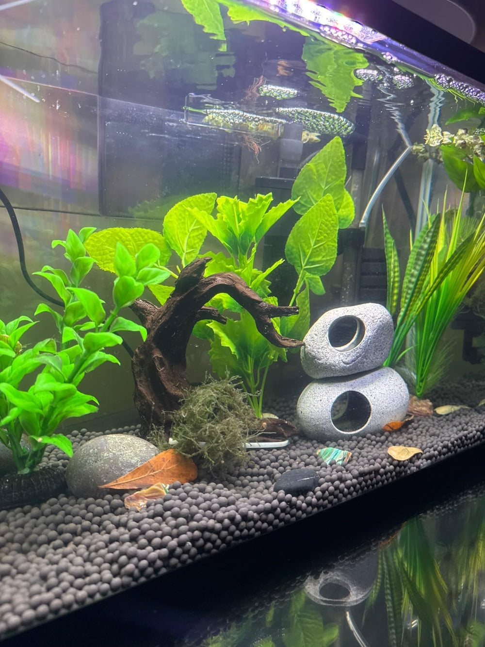 Obantrsz natural driftwood 2-4 inch layout ready for quick setup.