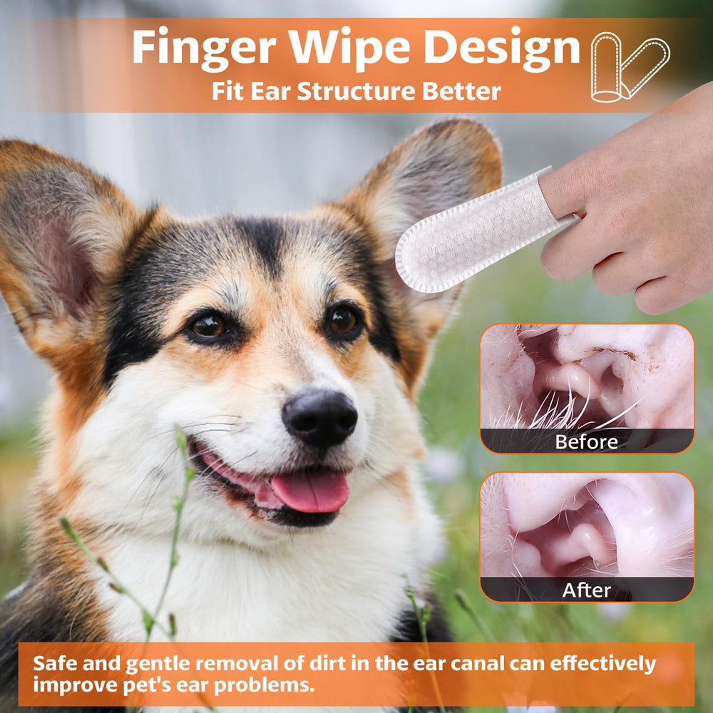 OBSEDE ear wipes show fresh coconut scent deodorizing ears.