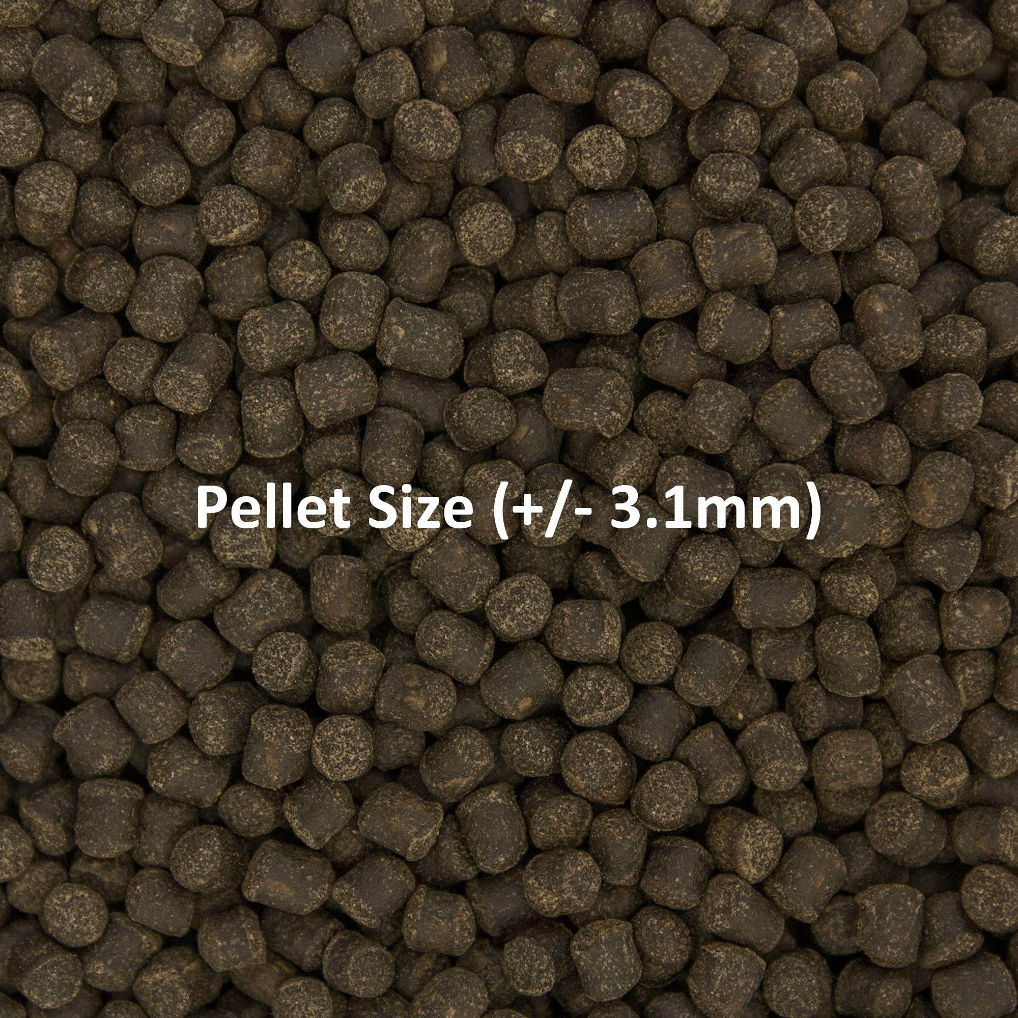 Ocean Nutrition Formula Two Pellets in aquarium water image highlights water clarity with non-clouding pellets.