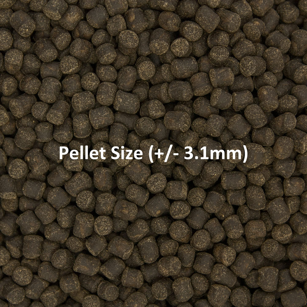 Ocean Nutrition Formula Two Pellets in aquarium water image highlights water clarity with non-clouding pellets.