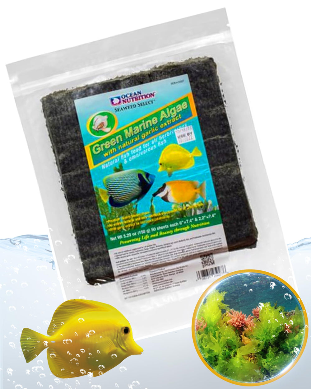 Ocean Nutrition Seaweed Select Green Marine Algae sheets closeup showing firm texture ideal for grazing herbivores.