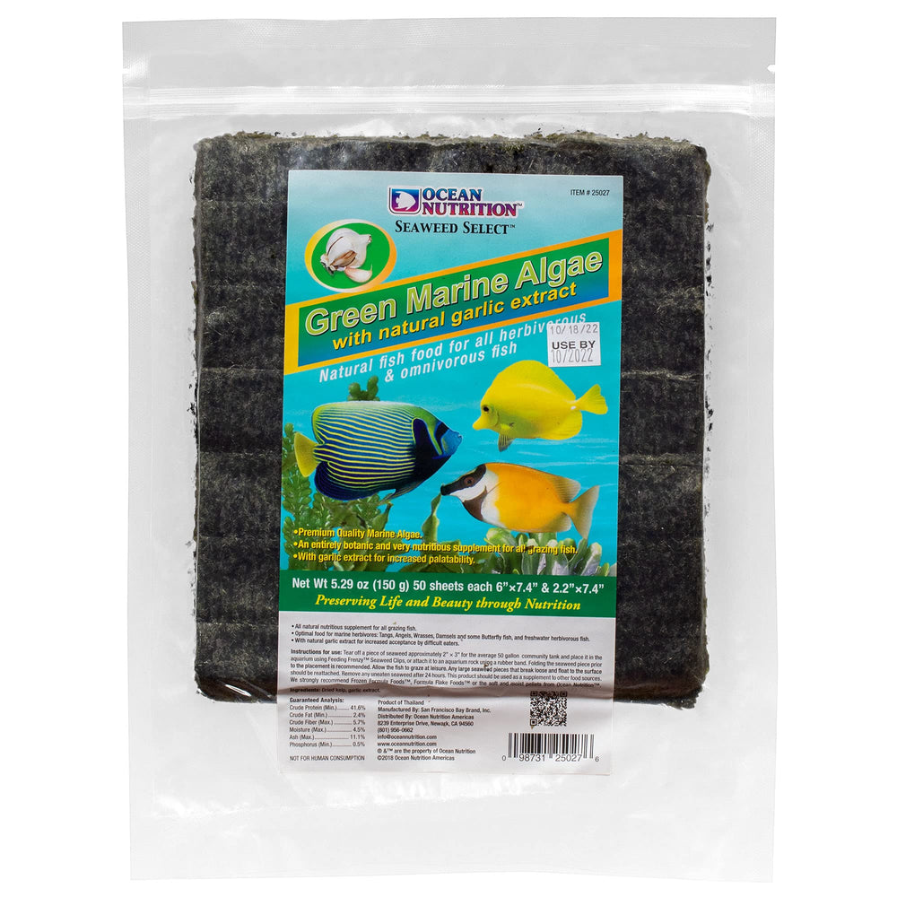 Ocean Nutrition Seaweed Select Green Marine Algae sheets in tank feeding tangs and angelfish.
