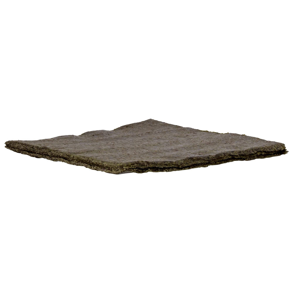 Ocean Nutrition Seaweed Select Green Marine Algae sheets support healthy grazing for tangs and angelfish.