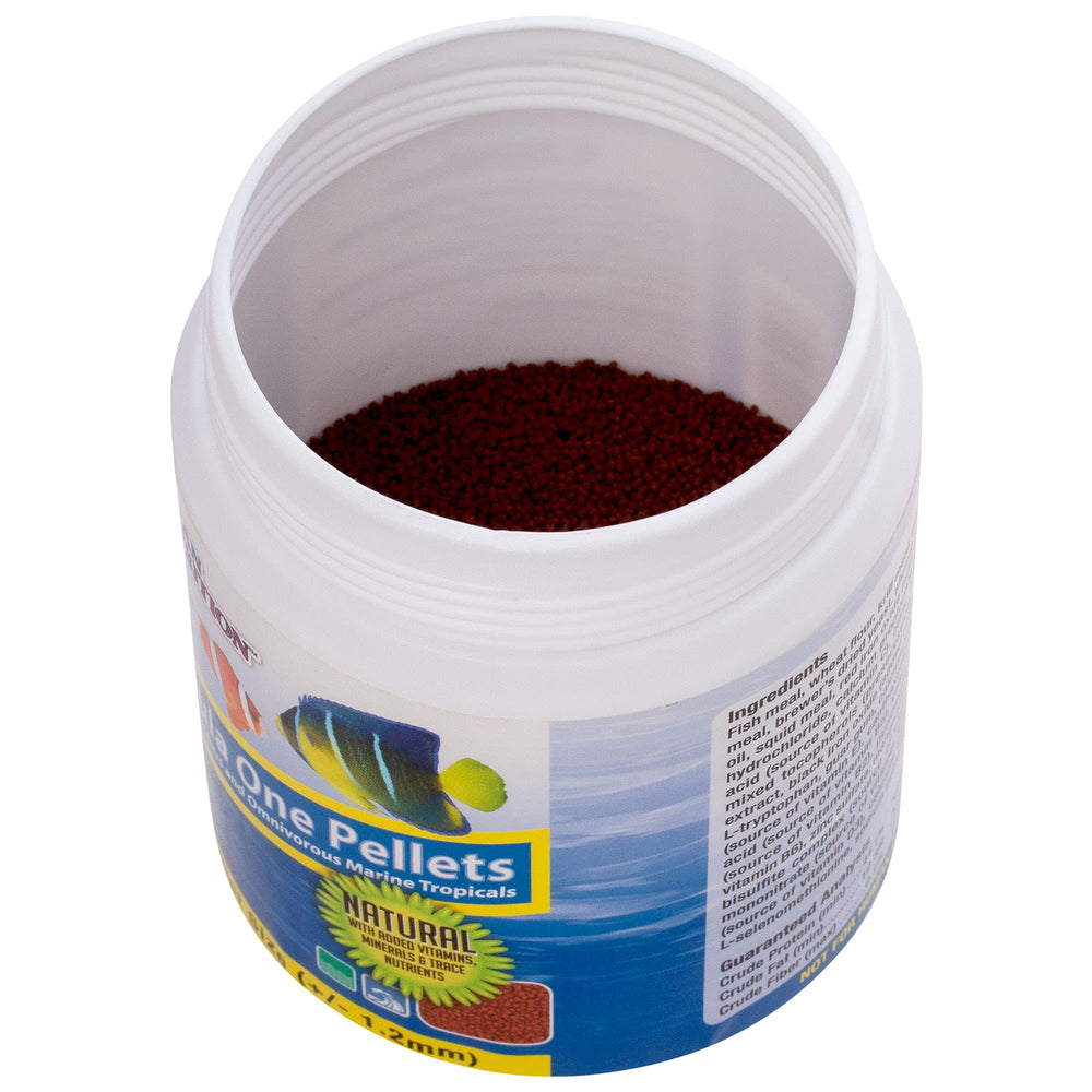 Ocean Nutrition tropical fish food in a tank with wrasses and cardinals.