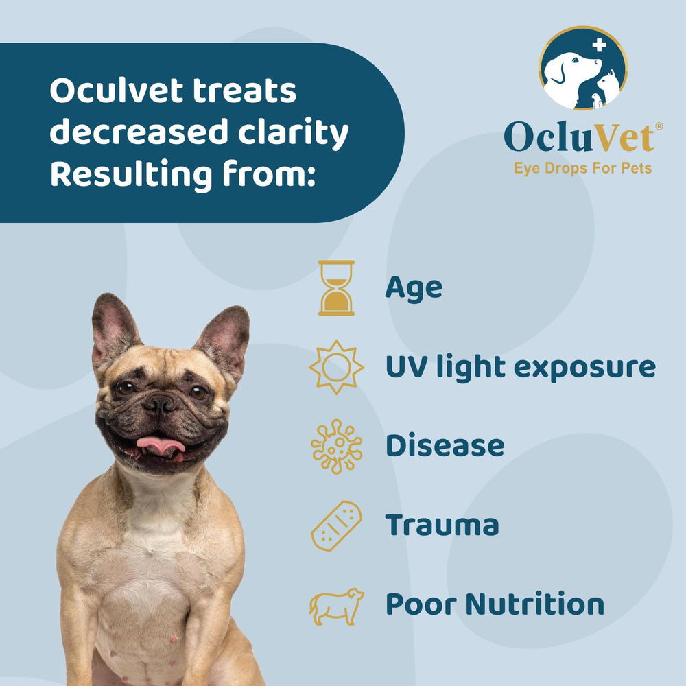 OcluVet antioxidants-blend image showing five-key nutrients for eye health.