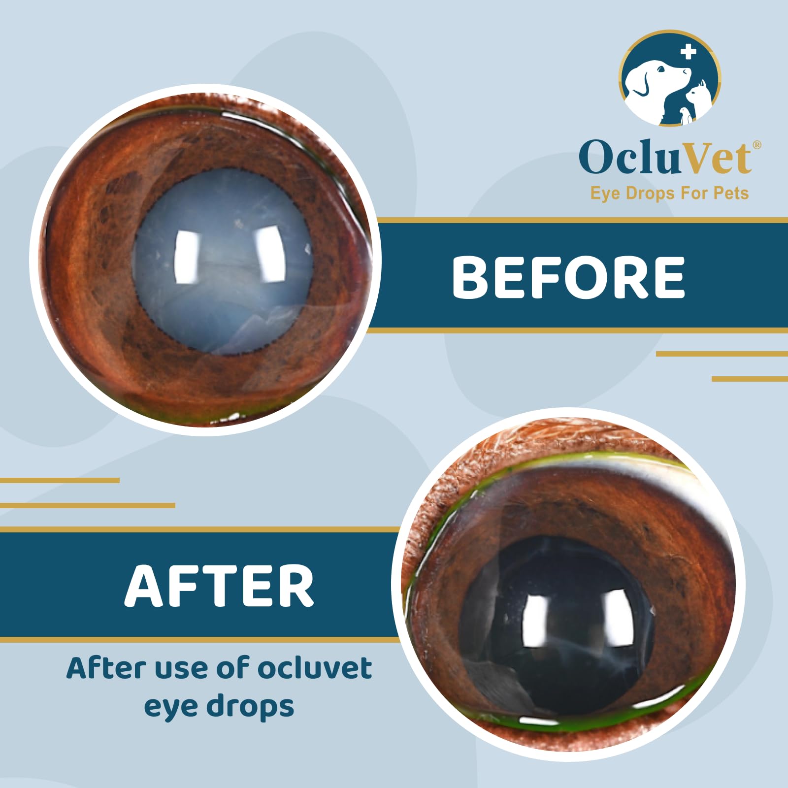 OcluVet USA-made emblem signaling quality pet eye care.