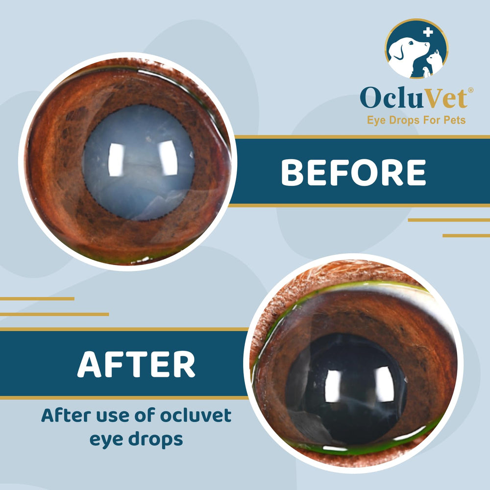 OcluVet USA-made emblem signaling quality pet eye care.