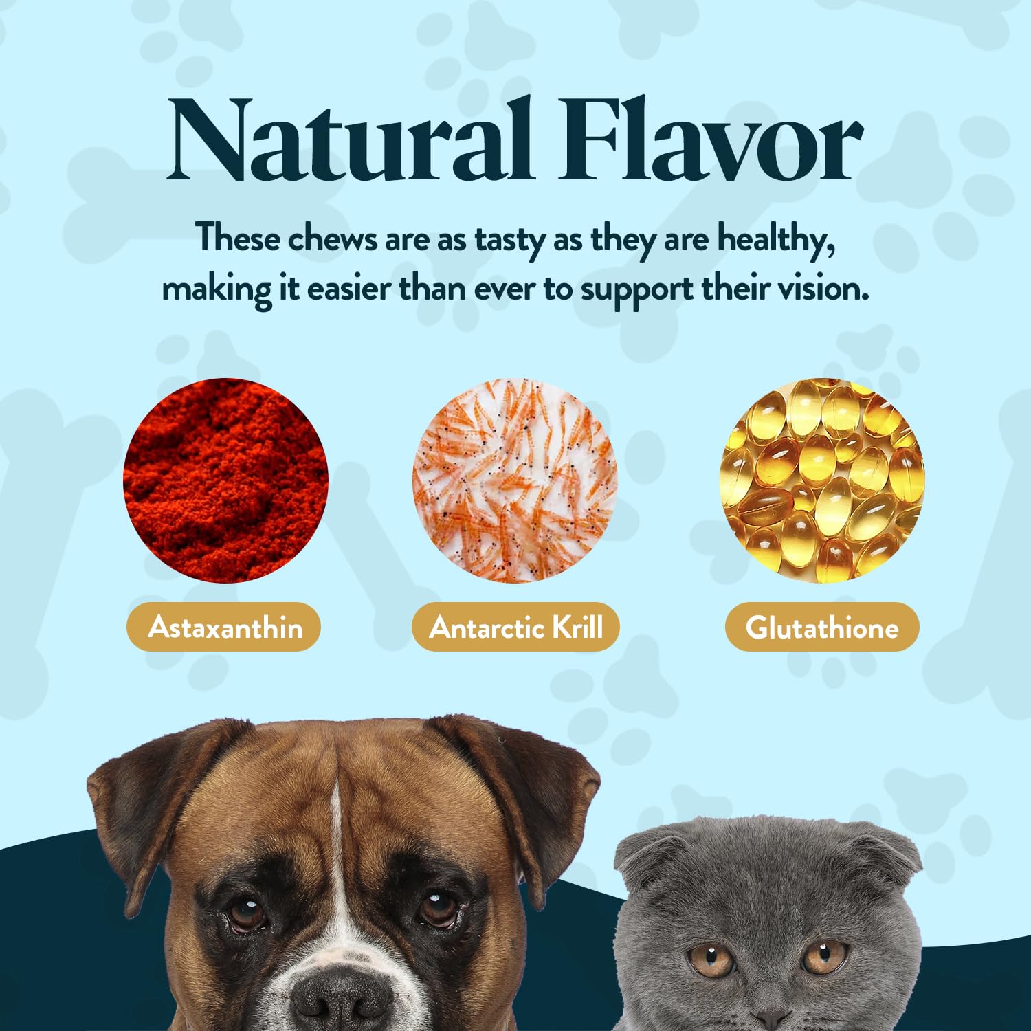 OcluVet Vision Chews cat chew serving for feline eye wellness.