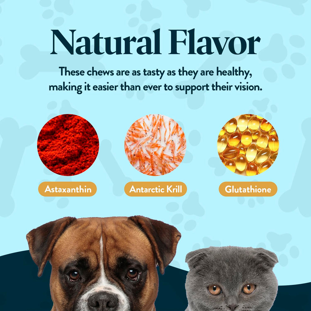 OcluVet Vision Chews cat chew serving for feline eye wellness.