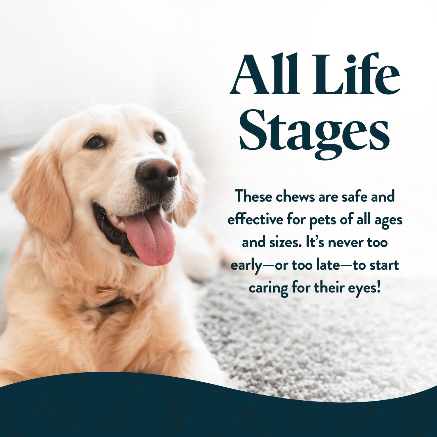 OcluVet Vision Chews close-up of chicken liver flavor for easy daily take.