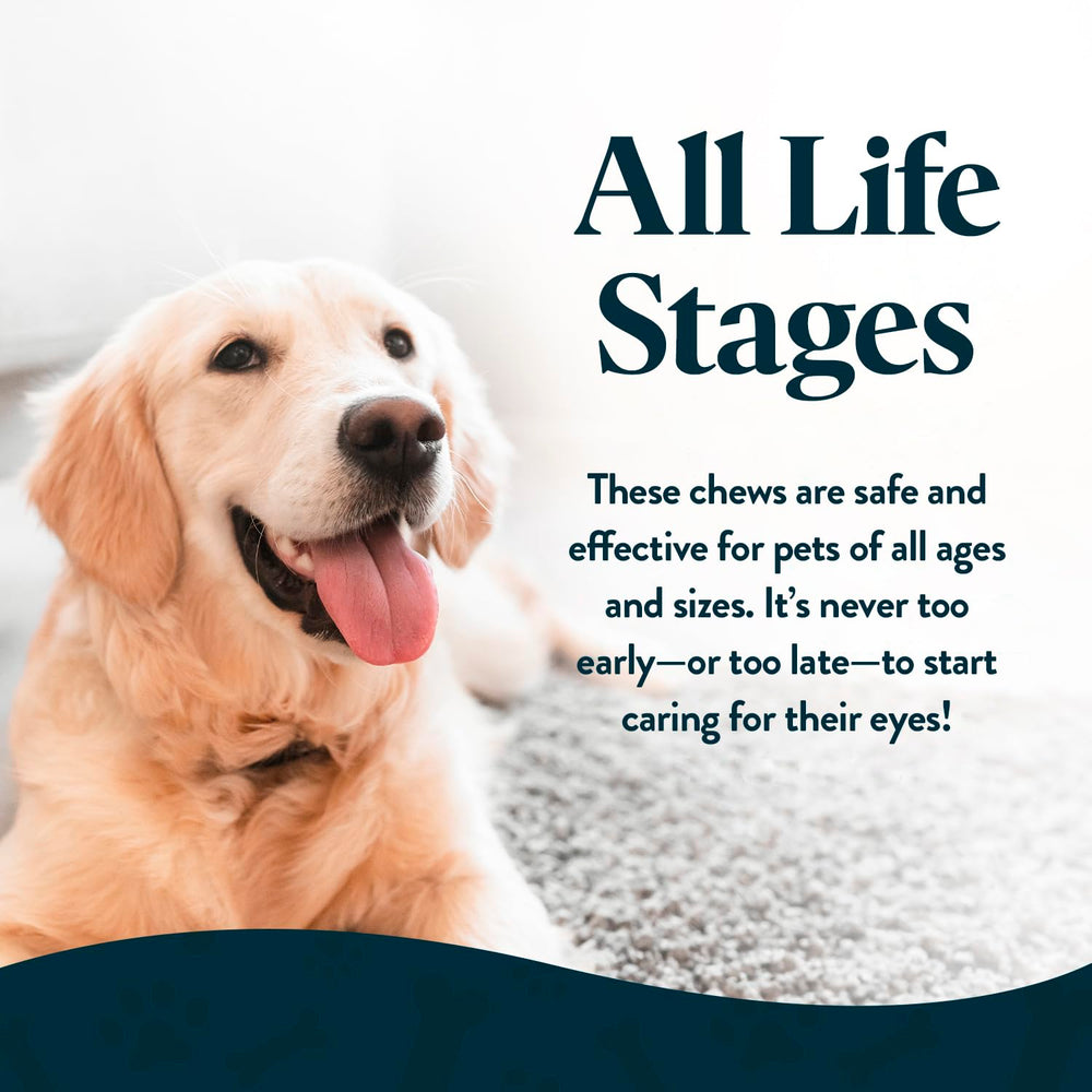 OcluVet Vision Chews close-up of chicken liver flavor for easy daily take.