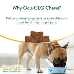 Ocu-GLO cat-chew-treat: palatable eye-health bites for mature felines.