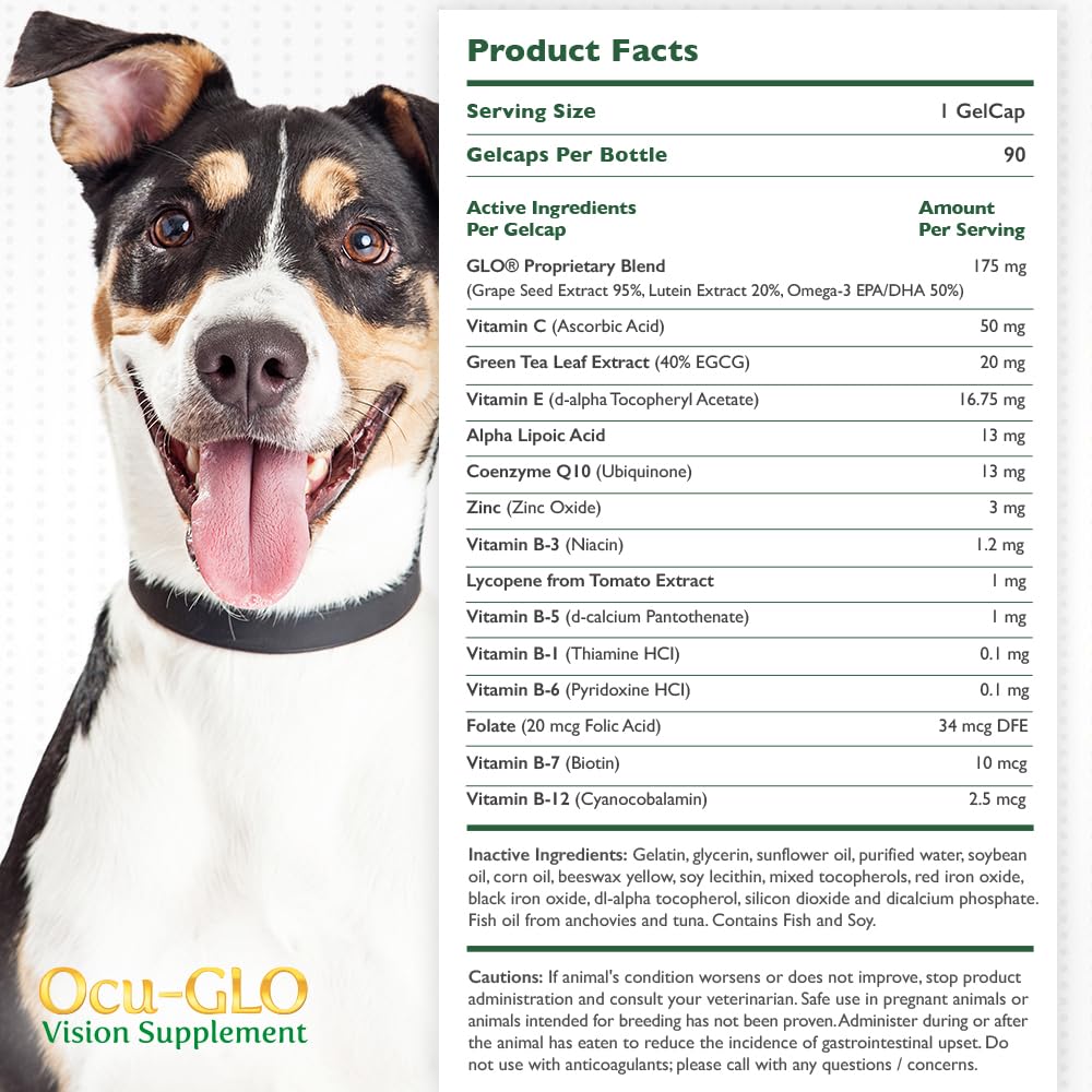 Ocu-GLO gel caps added to wet food supports effortless dosing for small dogs.