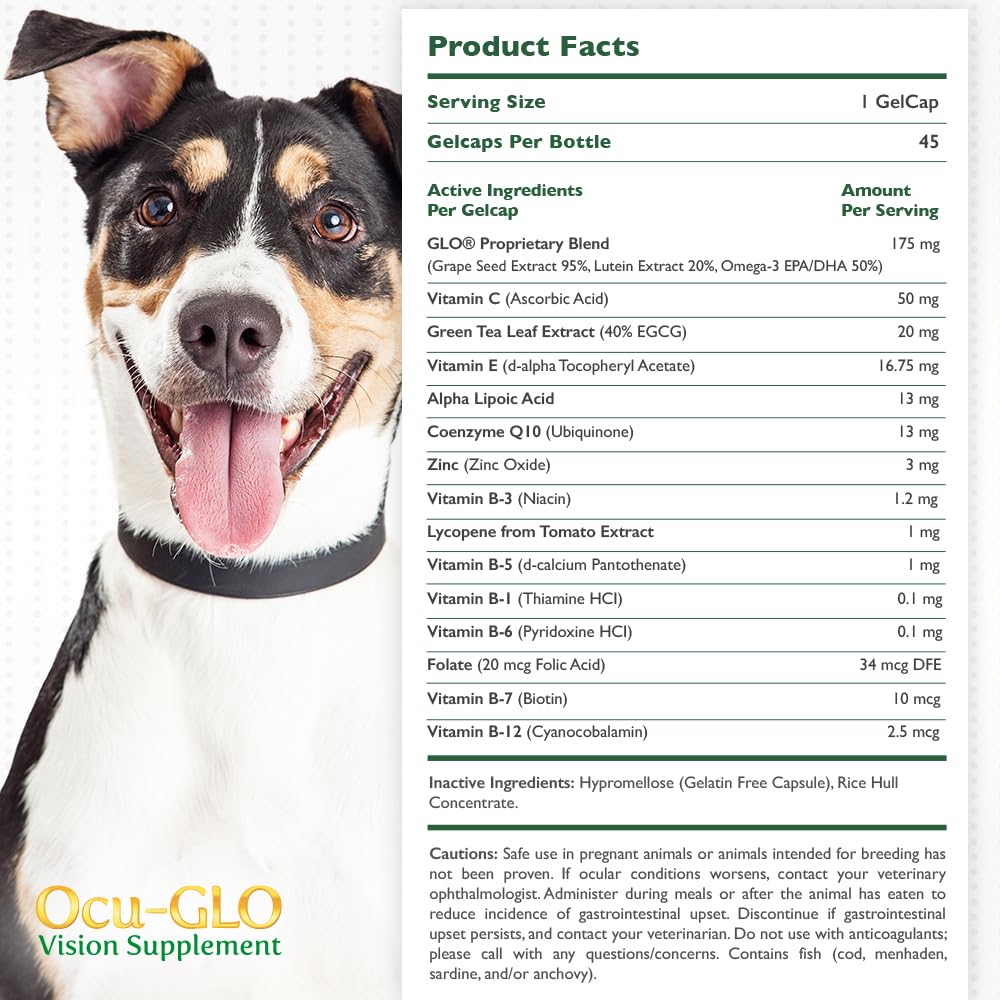 Ocu-GLO gelcaps ready to mix with wet food for dosing