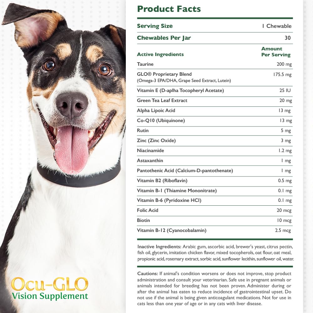 Ocu-GLO eye-supplement-cat-bottle: senior cat vision support in a tasty chew.