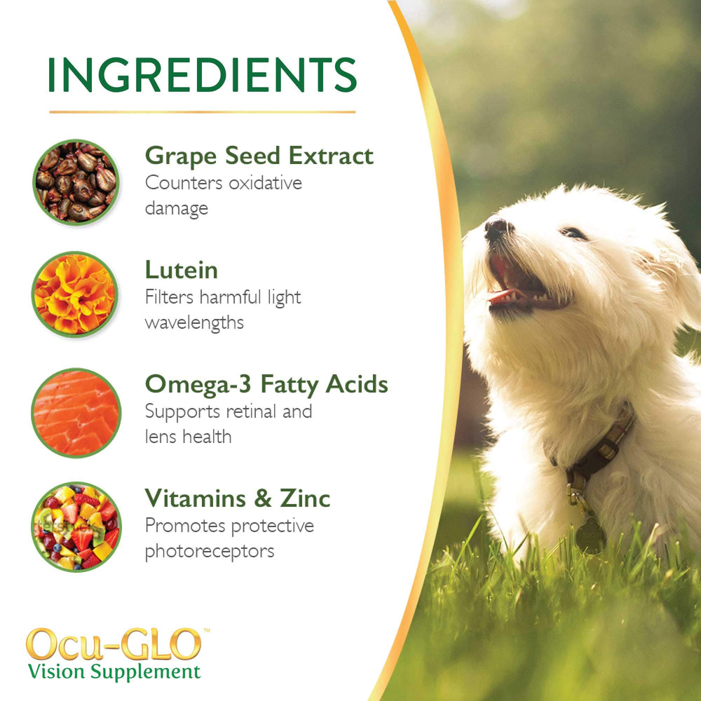 Ocu-GLO ingredients-lutein-omega3: lutein and omega-3 support ocular health.
