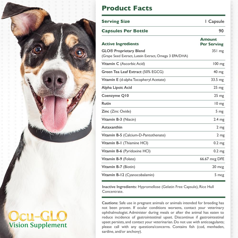 Ocu-GLO PB Vision dog powder makes administration easy during meals.