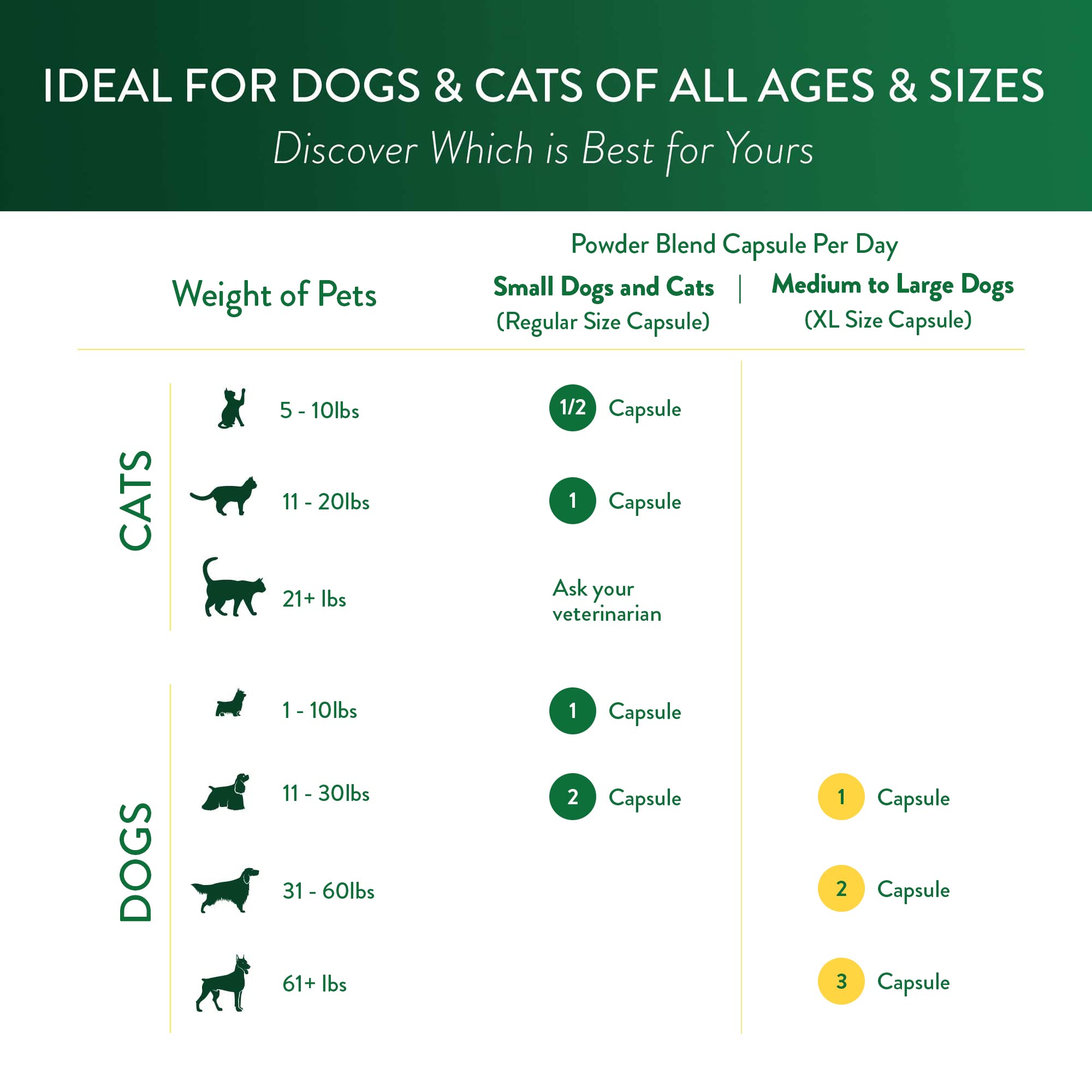 Ocu-GLO PB Vision palatable, easy-to-digest dog formula.
