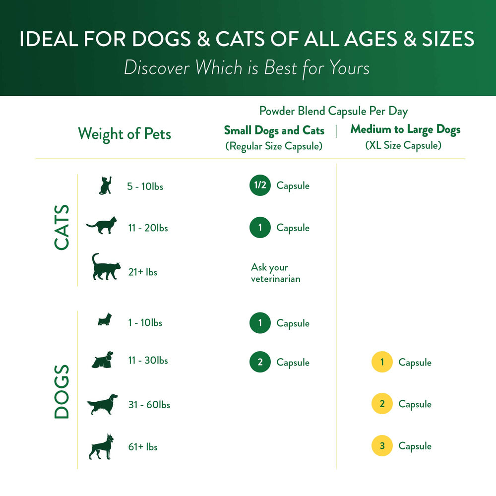 Ocu-GLO PB Vision palatable, easy-to-digest dog formula.