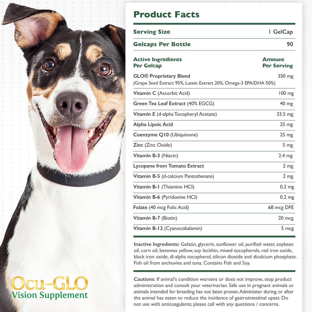 Ocu-GLO unflavored dog supplement appears tasteless, easing mealtime feeding.