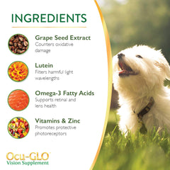 Ocu-GLO vet-formulated eye supplement for dogs supports eye health