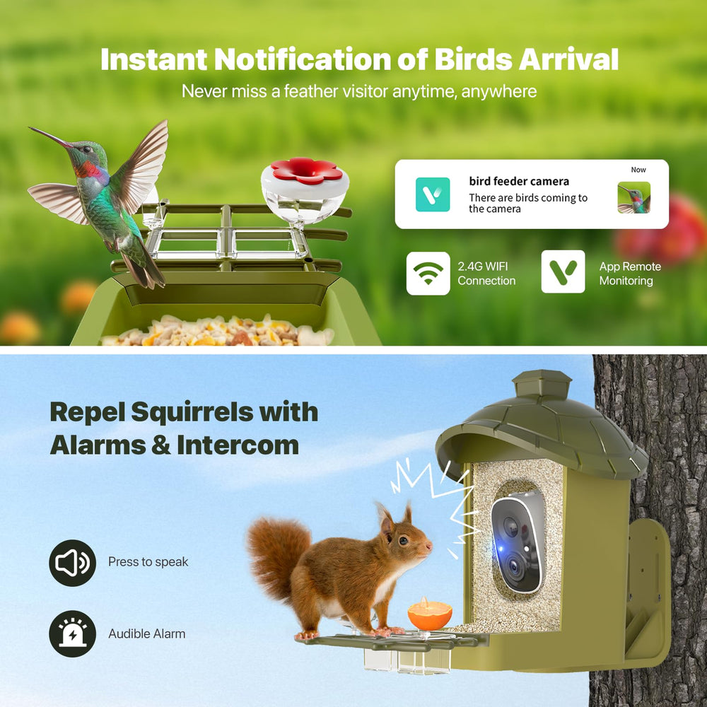 oddkont AI-identification species camera assists learning visiting birds