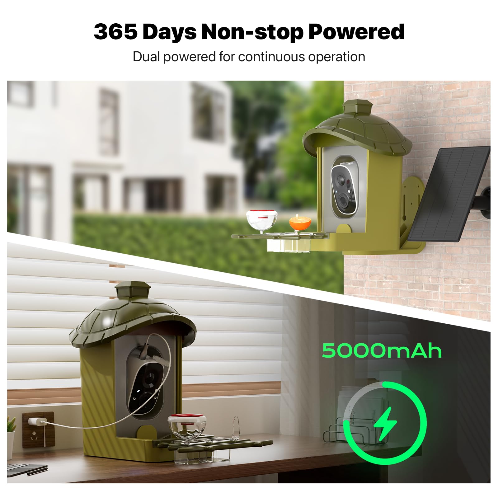 oddkont bird feeder accessories image shows DIY options to attract more birds