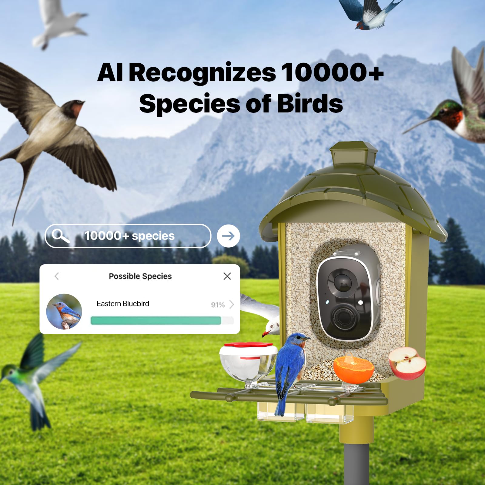 oddkont smart bird feeder camera wide-angle captures broader view of visiting species