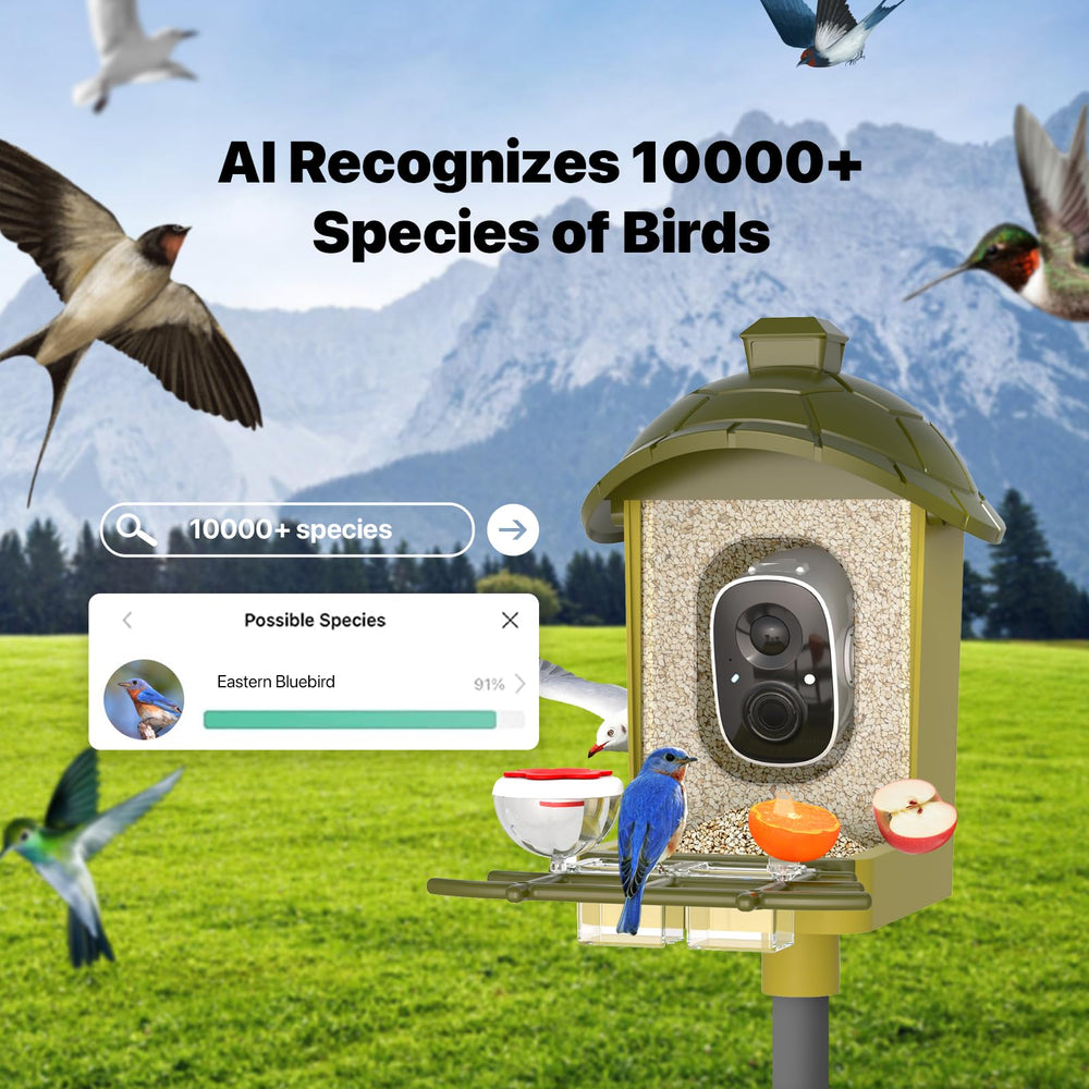 oddkont smart bird feeder camera wide-angle captures broader view of visiting species