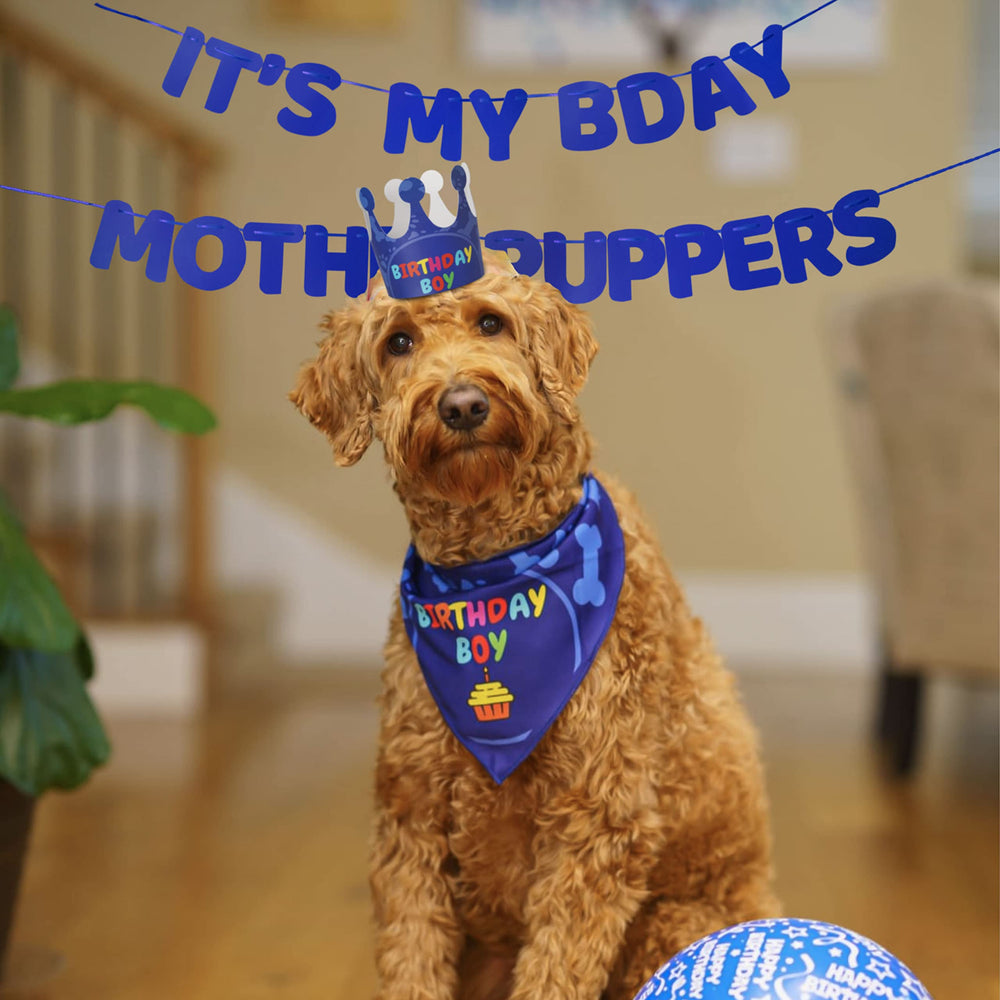 Odi Style its-my-birthday-mother-puppers banner as a festive party backdrop.