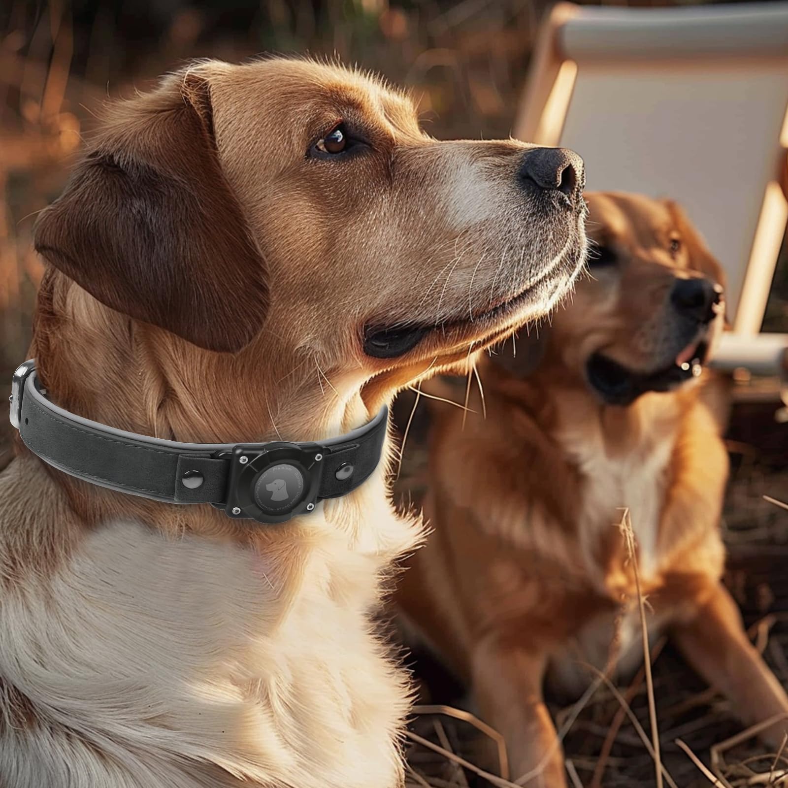Odokele AirTag collar size L tailored for medium to large dogs