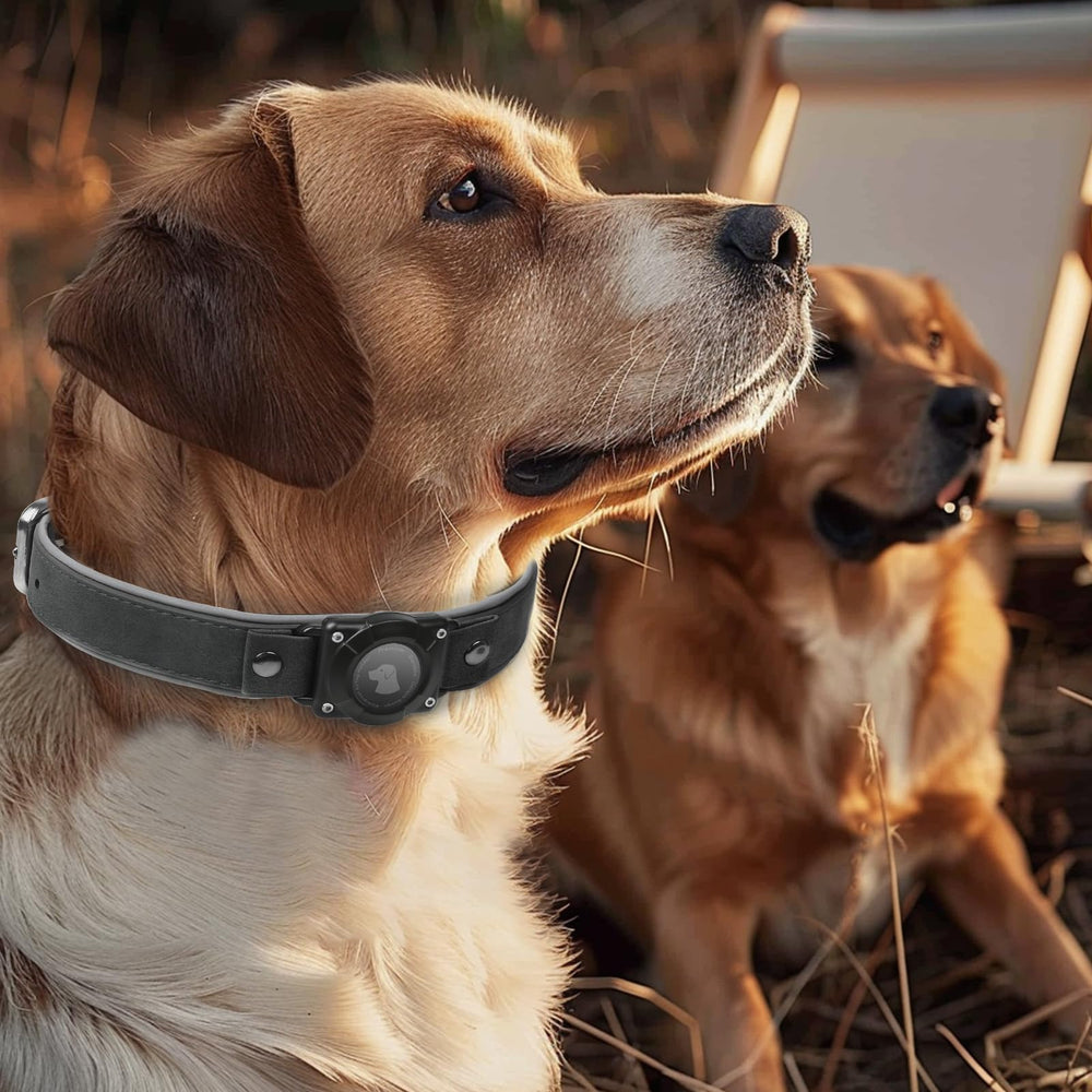 Odokele AirTag collar size L tailored for medium to large dogs