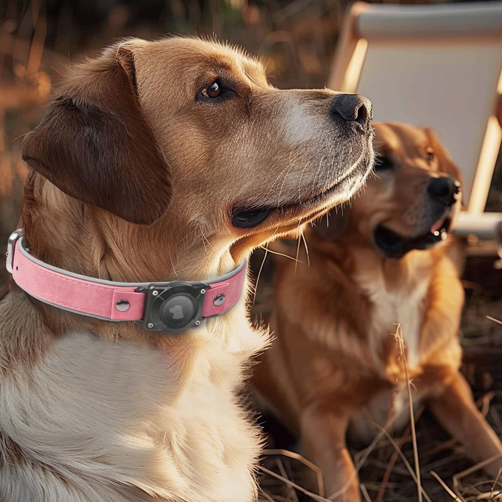 Odokele AirTag Collar pink adjustable fit for medium to large dogs