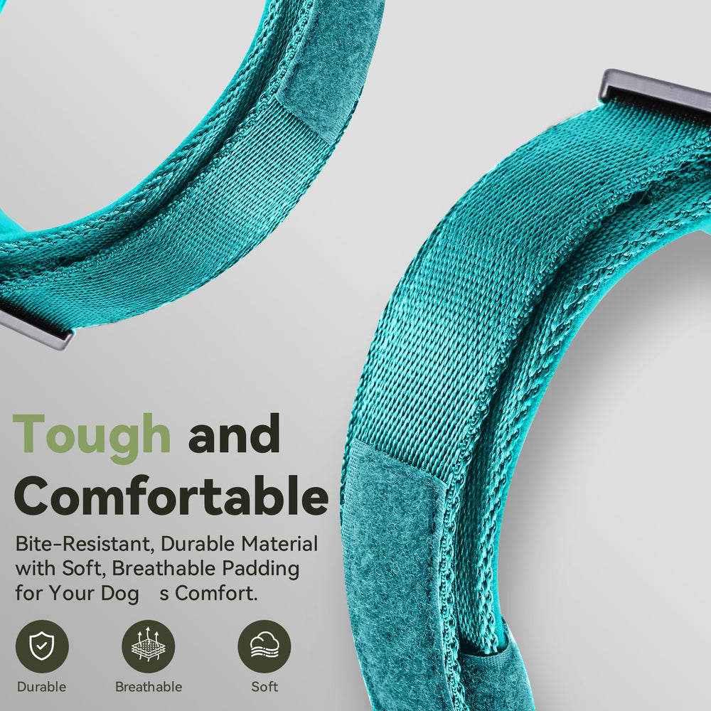 Odokele AirTag dog collar blue AirTag holder demonstrates protective integration.
