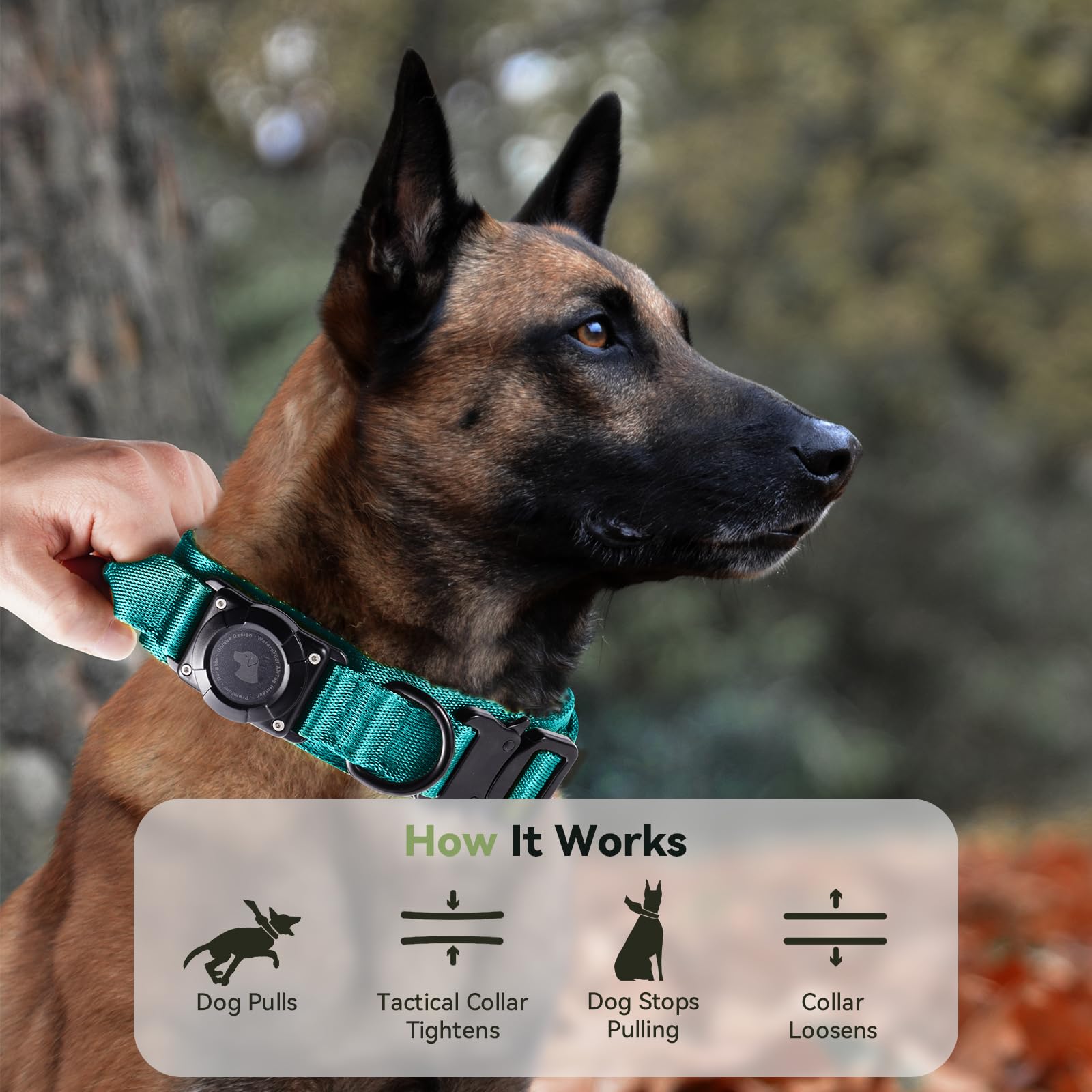 Odokele AirTag dog collar blue neck-area detail highlights fit.