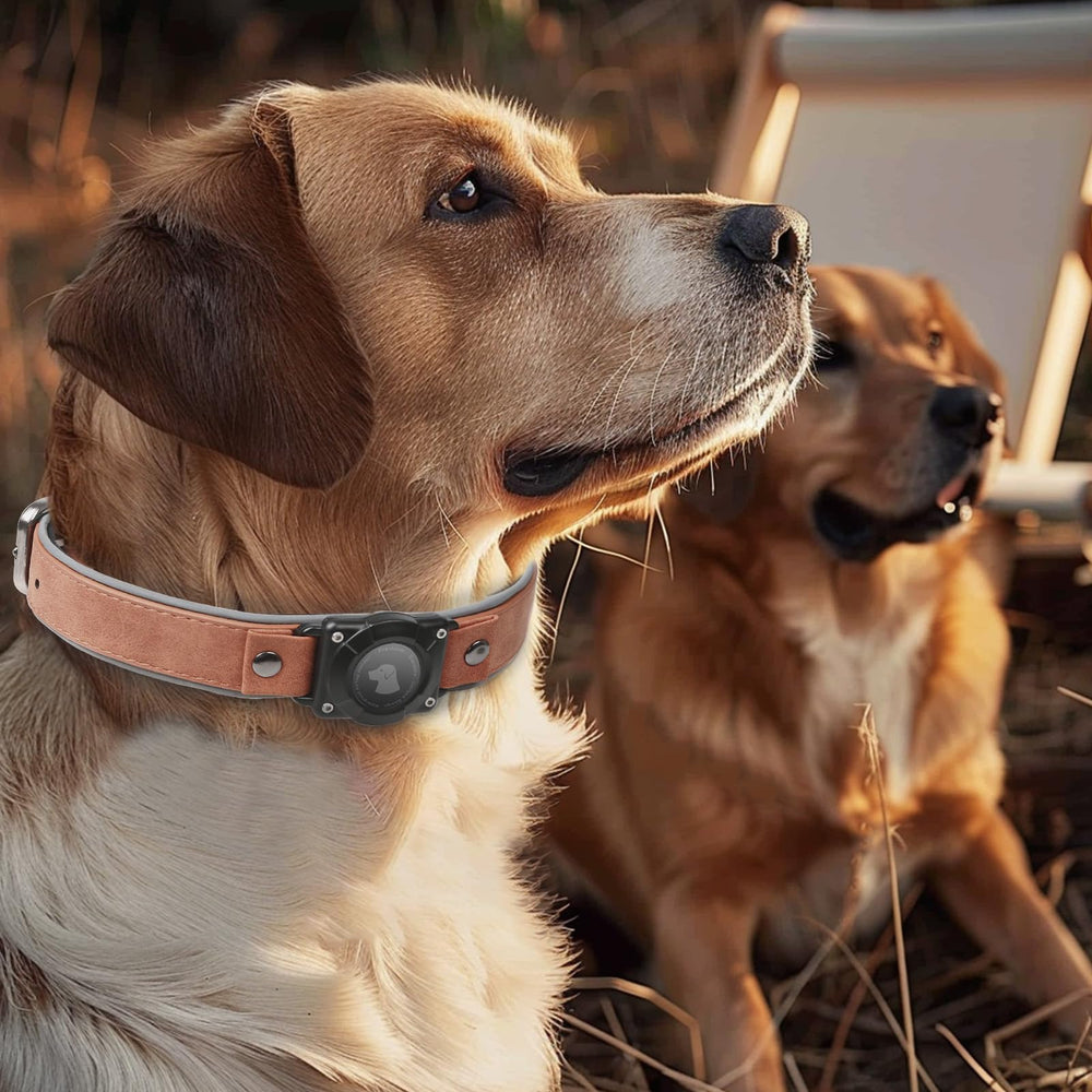 Odokele AirTag Dog Collar fits medium to large dogs with comfortable sizing.