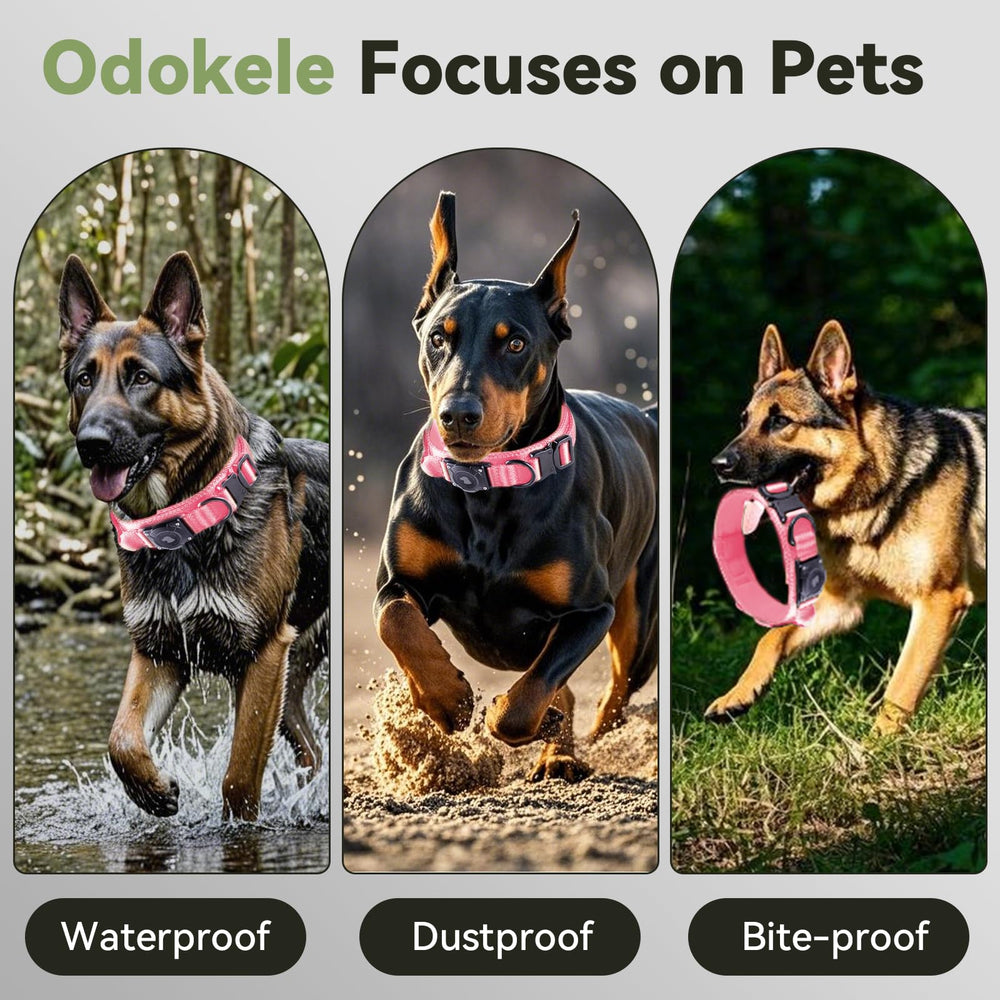 Odokele dog-collar-pink-xl stylish and practical for medium to large dogs.
