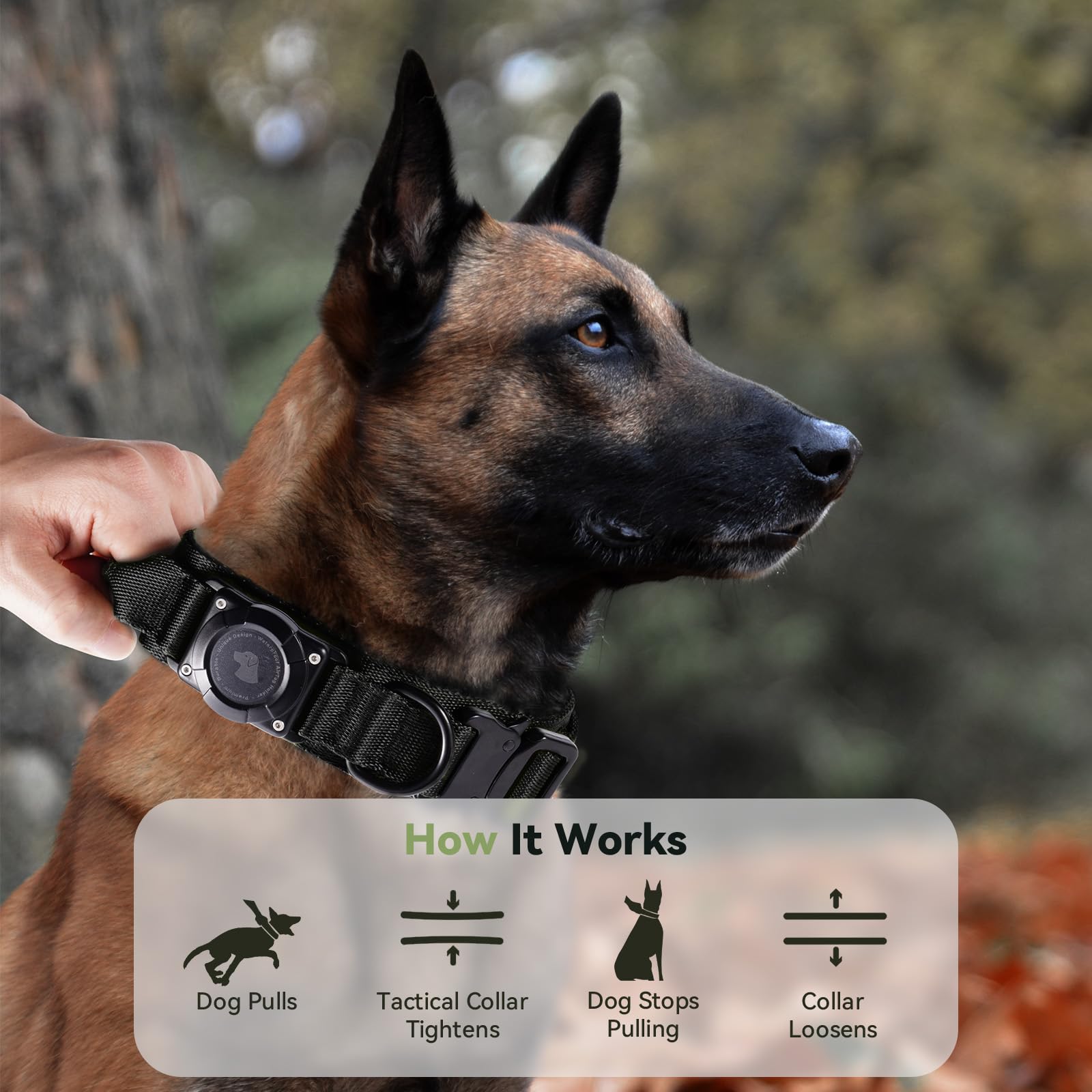 Odokele dog collar size chart showing neck measurements for medium to large dogs