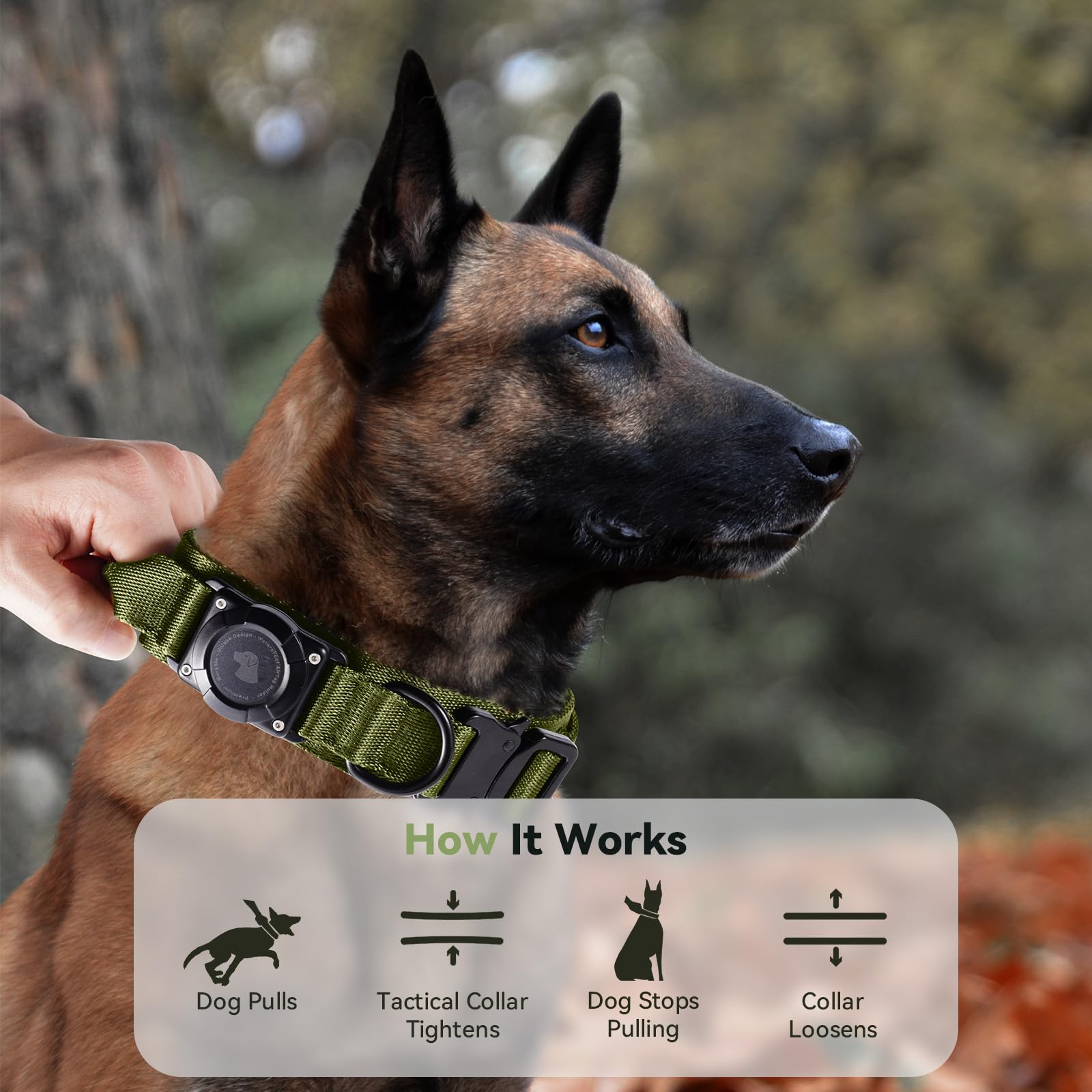 Odokele durable-1000d-nylon-collar supports long-lasting wear on active dogs.