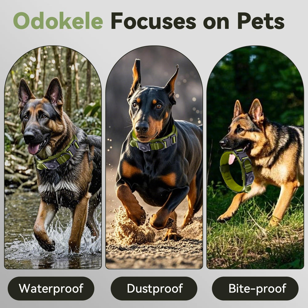 Odokele heavy-duty-metal-buckle-quick-release secures the collar with reliable release.