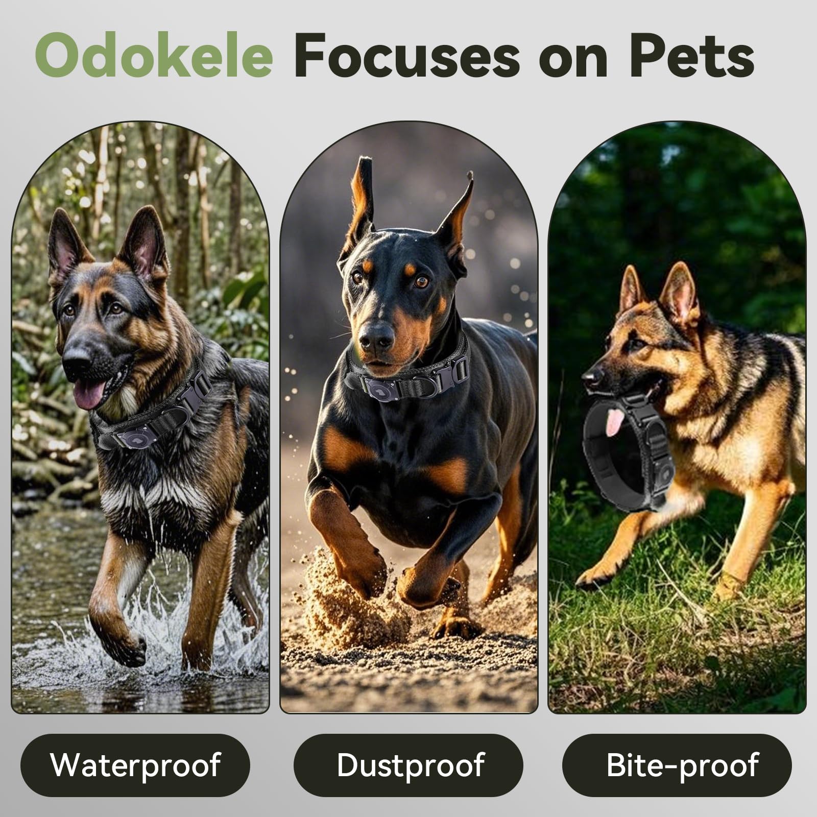 Odokele heavy-duty metal buckle on a durable dog collar