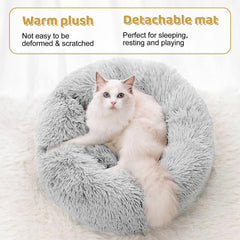 Odoland cat tunnel assembly circle configuration demonstrates versatile layout for multi-cat fun