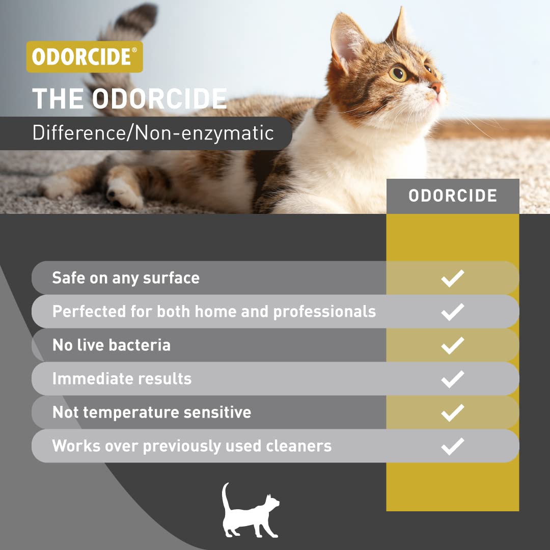 Odorcide Cat Attack Concentrate area after-use—freshened space following treatment.