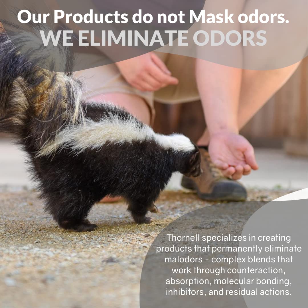 Odorcide Skunk Off Pet Shampoo used on car interior for odor control.