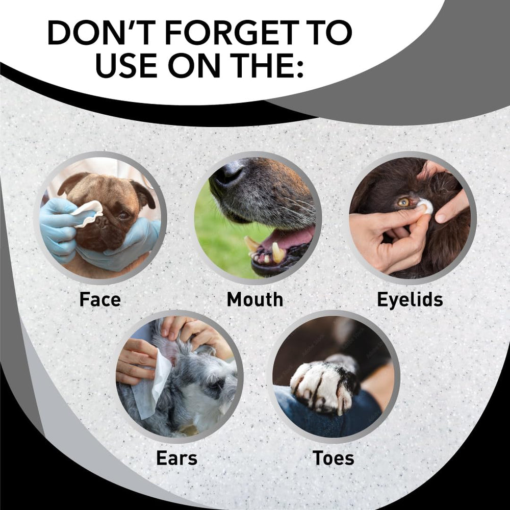 Odorcide Skunk Off Pet Shampoo pump sprayer application treats carpets and upholstery.