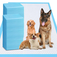 Odorless XXXXL Puppy Pee Pad 31x47 pack ready to protect floors during training.