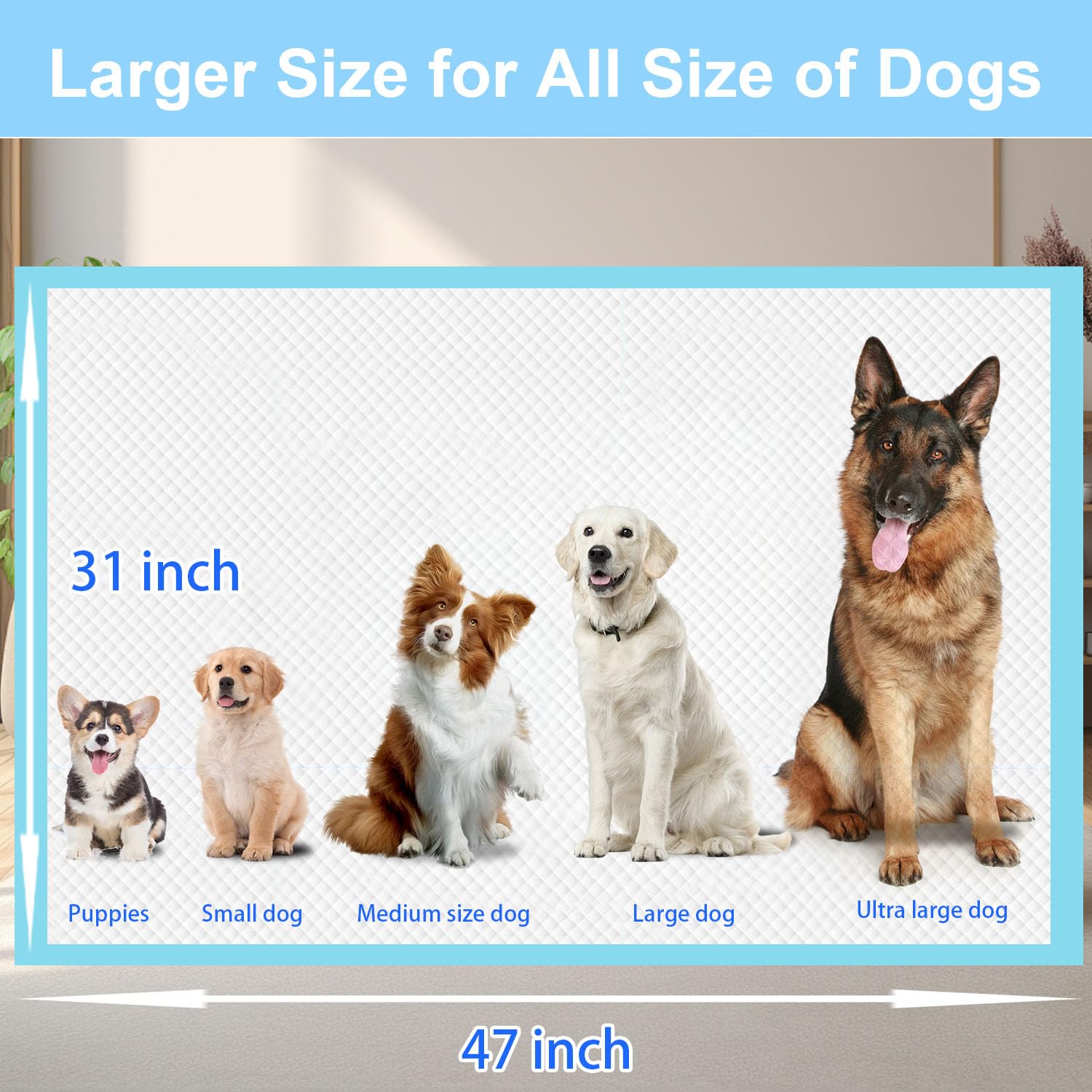 Odorless XXXXL Puppy Pee Pad leak-proof back keeps floors dry.